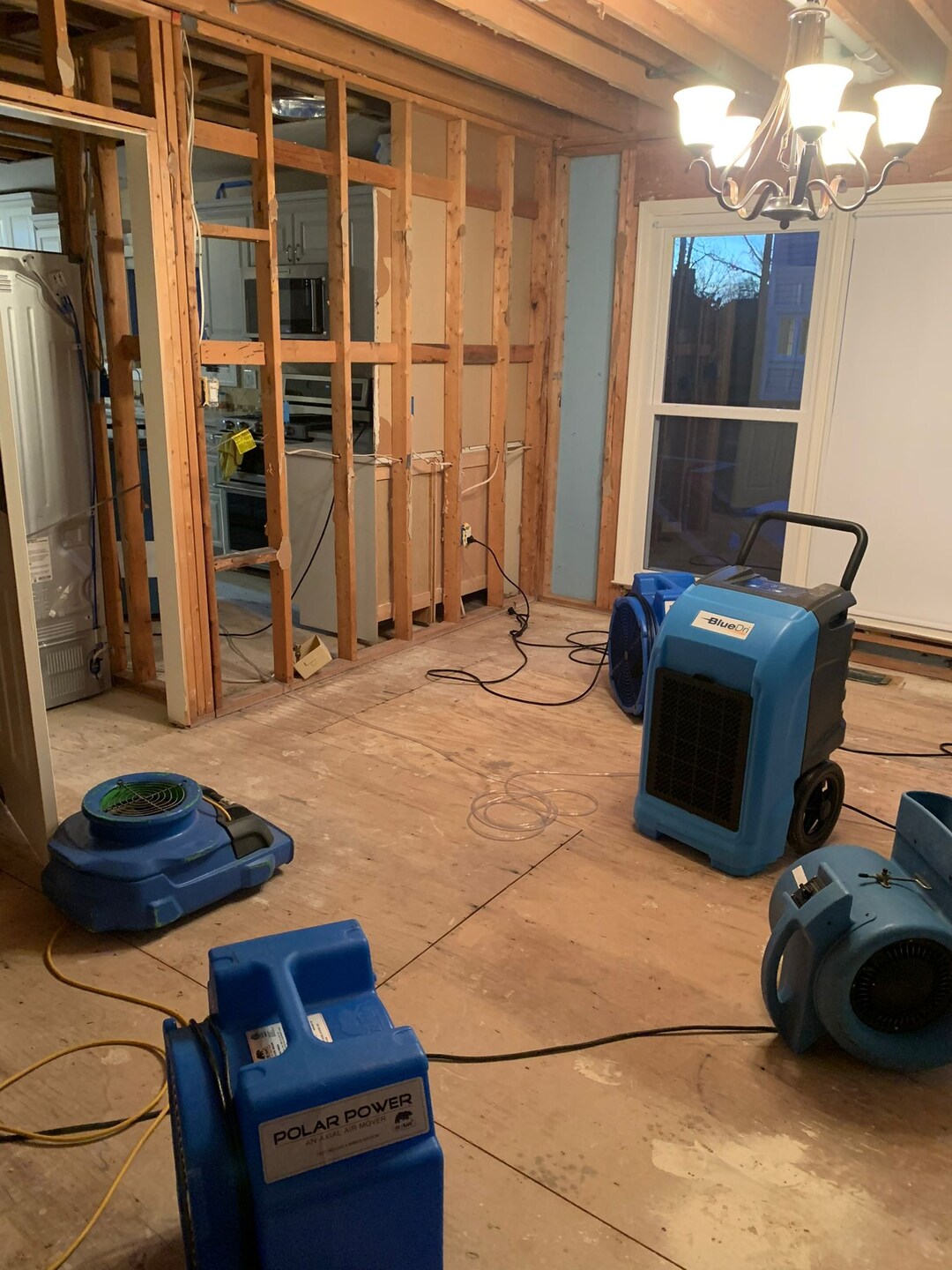 water mitigation companies